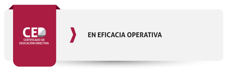 CED en eficacia operativa