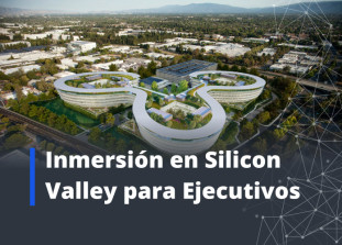 Inmersión en Silicon Valley para Ejecutivos